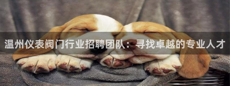 顺盈娱乐福彩