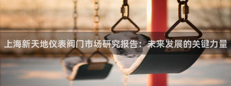 顺盈娱乐招商部听判官333OO