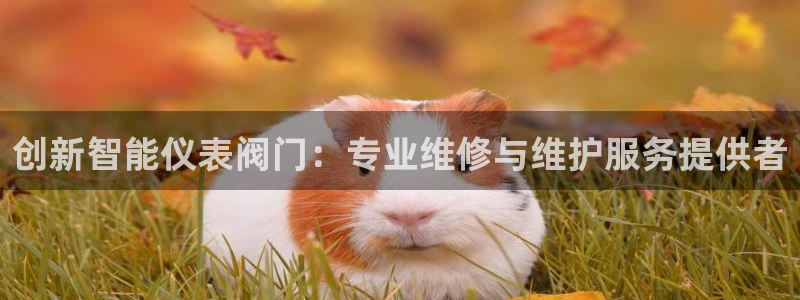 顺盈娱乐代理怎么样