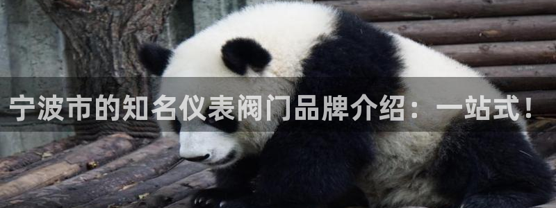 顺盈娱乐平台注册时间