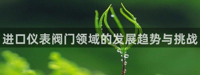顺盈娱乐彩票官网查询