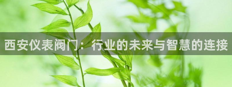 顺盈娱乐平台会黑人吗