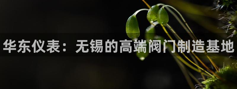 顺盈娱乐平台最新活动