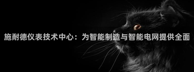 顺盈娱乐在线开户流程图