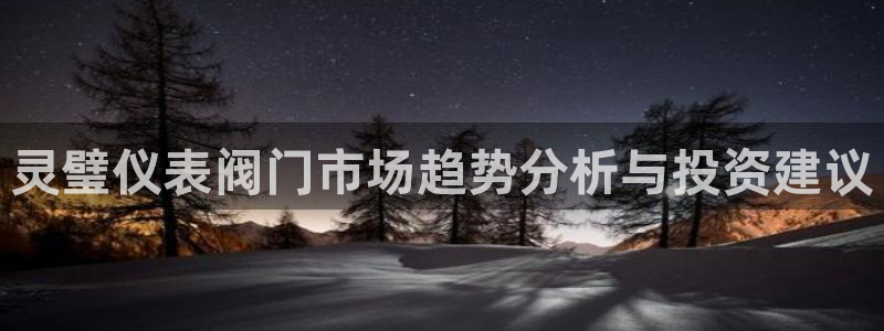 顺盈娱乐注册