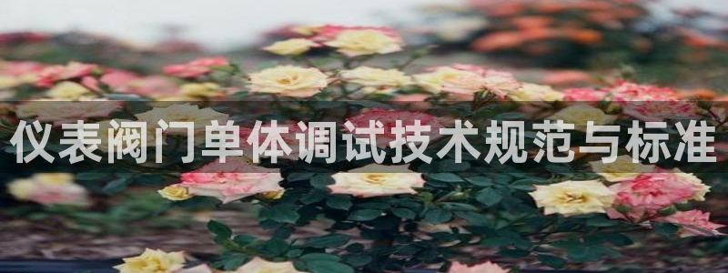 顺盈娱乐招商天原判官333OO