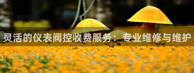 顺盈娱乐主管去判官333OO