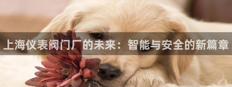 清远顺盈娱乐集团招聘
