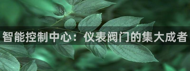 顺盈娱乐下载最新版