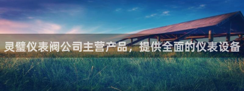 顺盈2娱乐游戏开发商