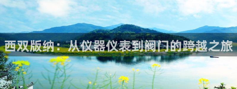 顺盈娱乐下载安装官方版
