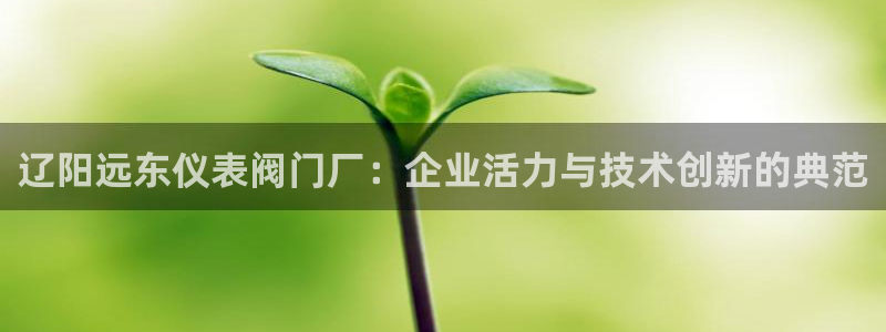 顺盈娱乐登录地址是什么
