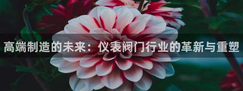 顺盈娱乐总代理是谁