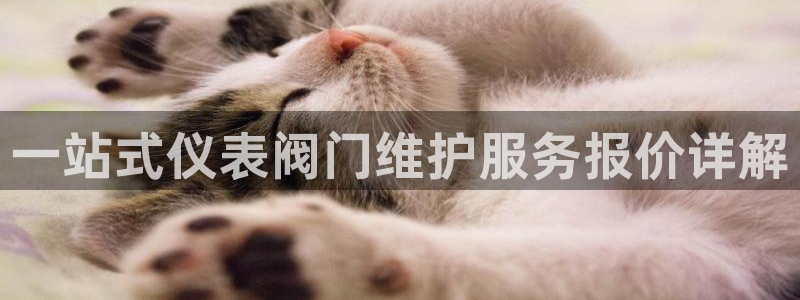 顺盈娱乐主管杂判官333OO