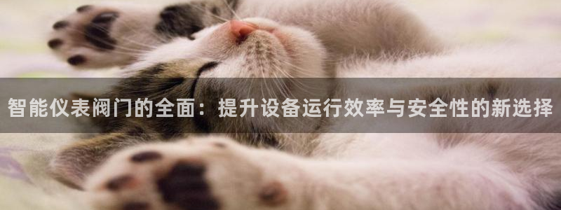 顺盈娱乐注册资金多少